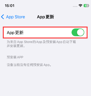 启东苹果15维修中心如何让iPhone15APP自动更新